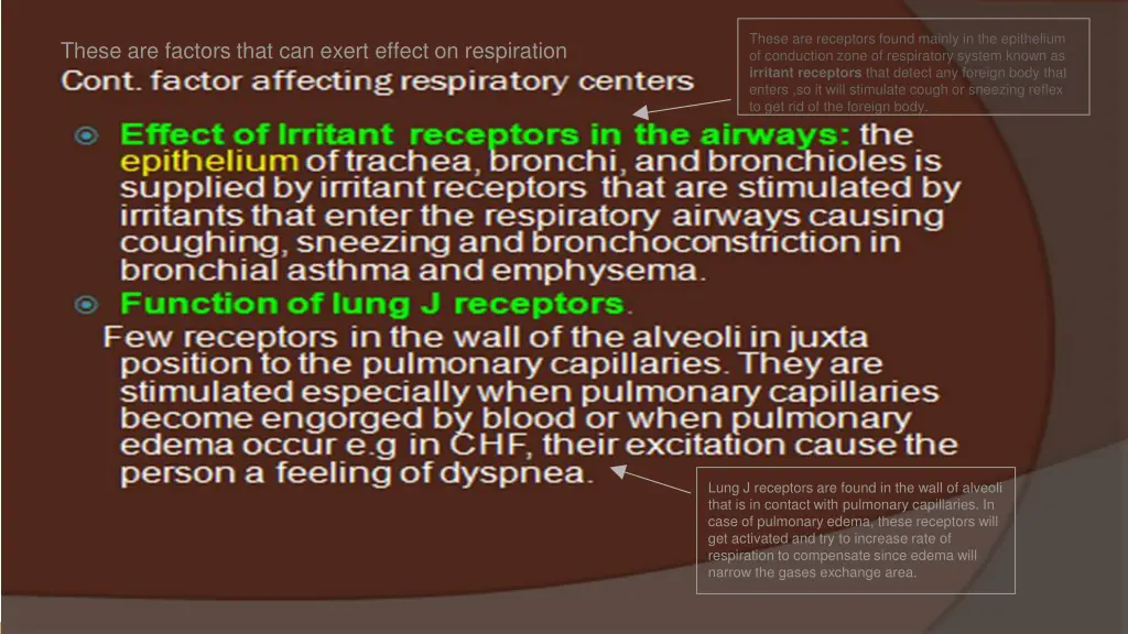 these are receptors found mainly