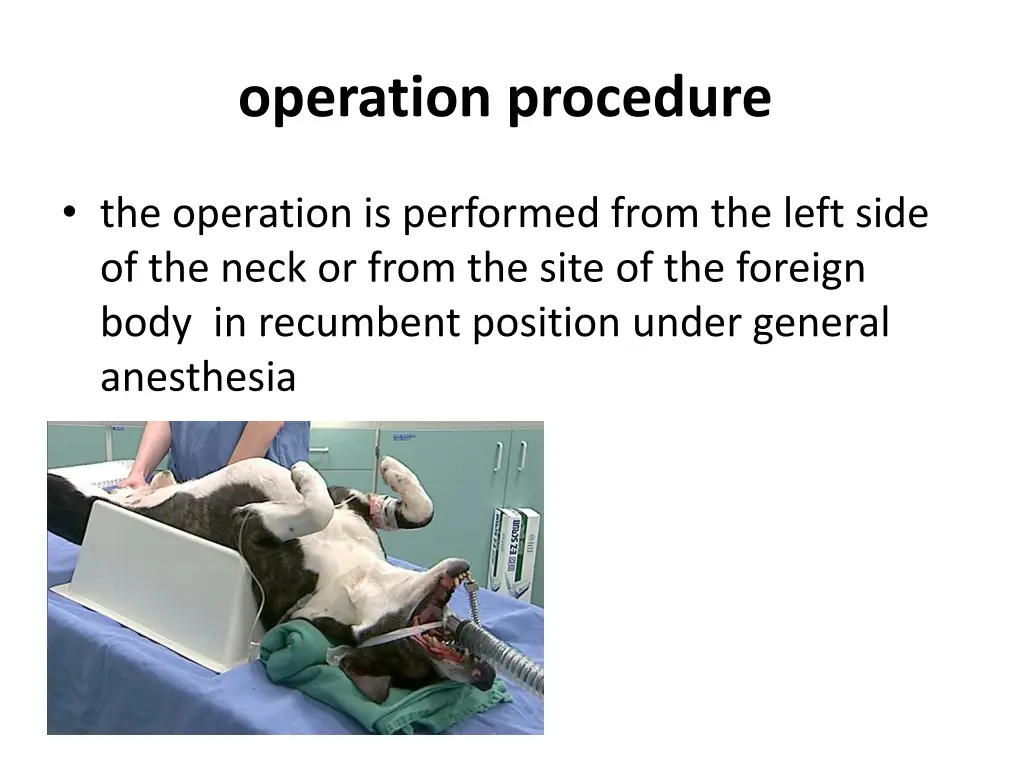 operation procedure