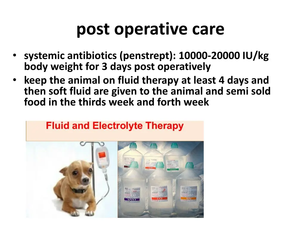 post operative care