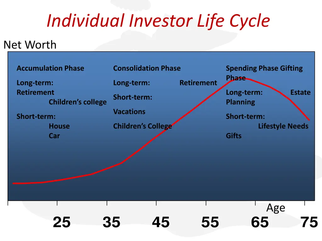 individual investor life cycle 2