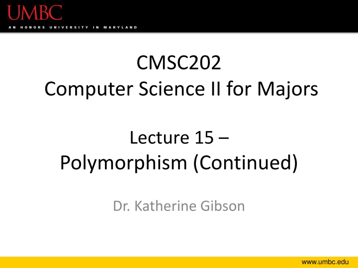 cmsc202