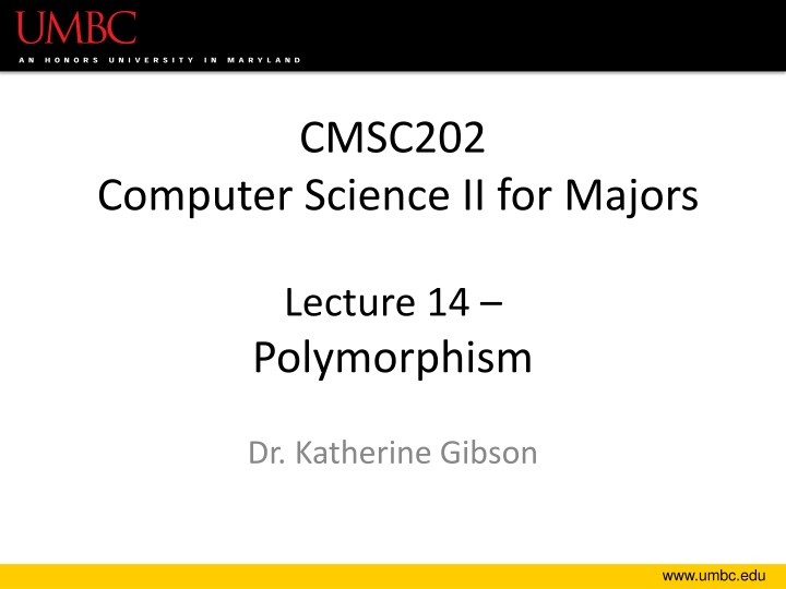 cmsc202