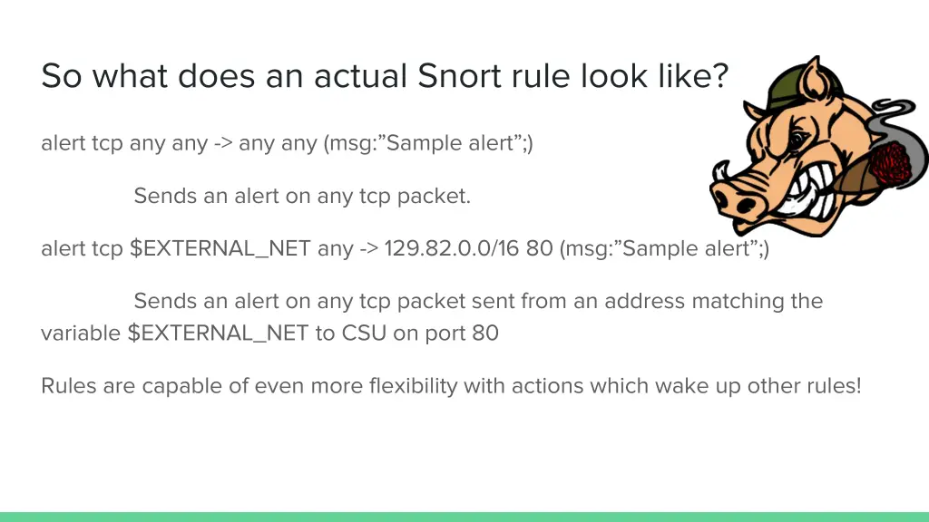 so what does an actual snort rule look like