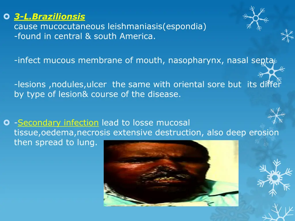 3 l brazilionsis cause mucocutaneous