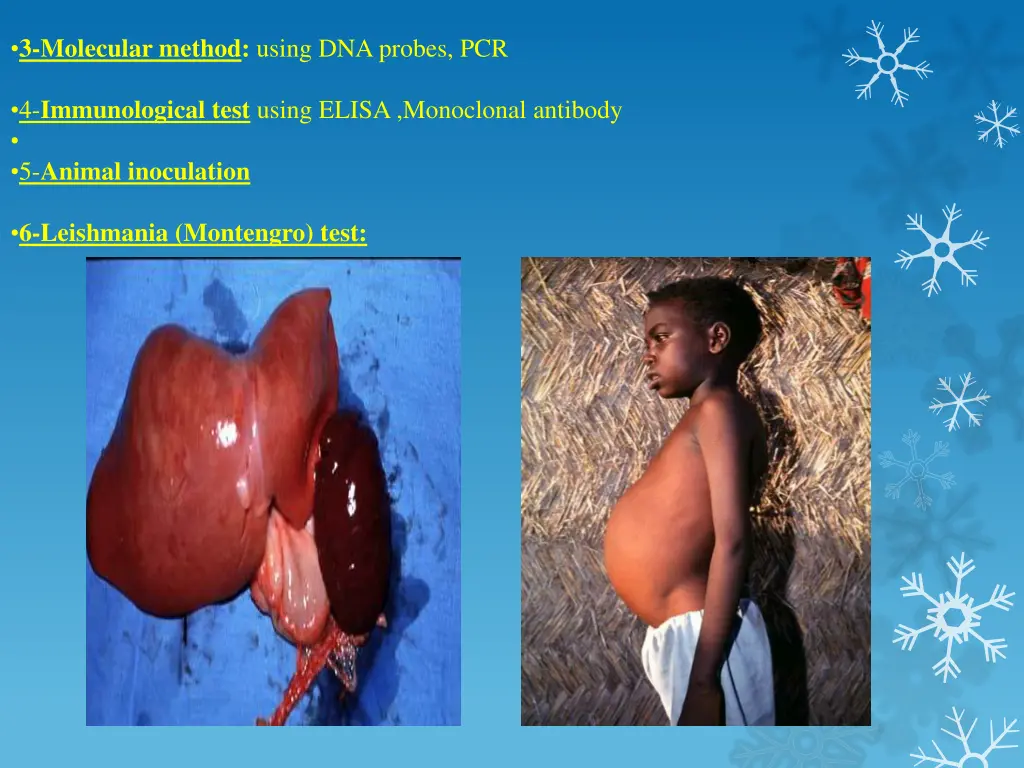 3 molecular method using dna probes pcr