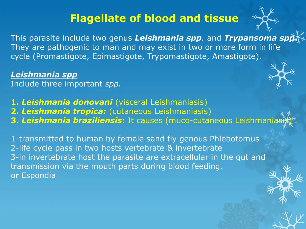 flagellate of blood and tissue