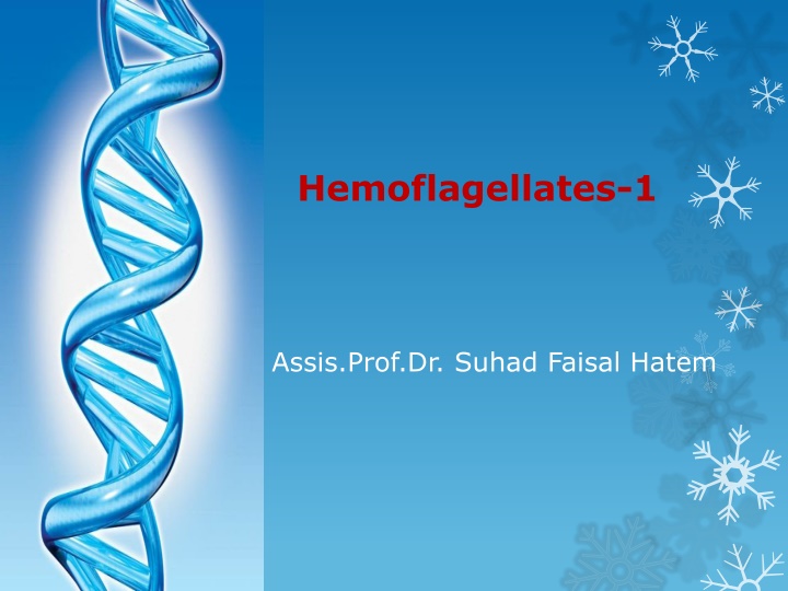 hemoflagellates 1