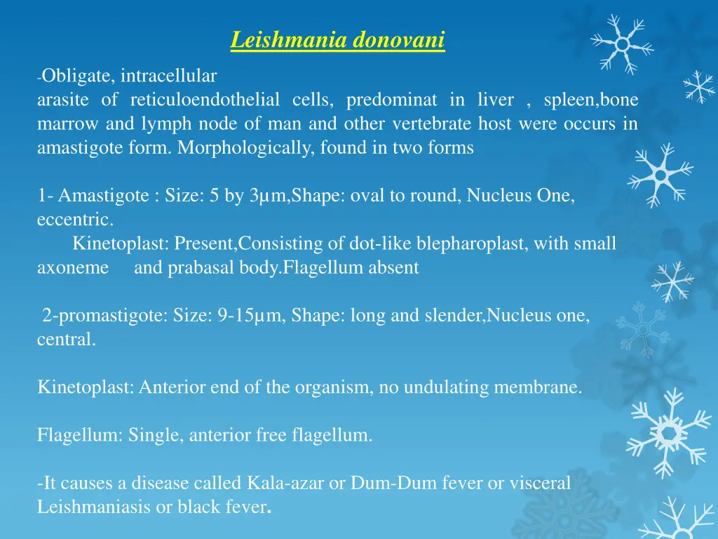 leishmania donovani