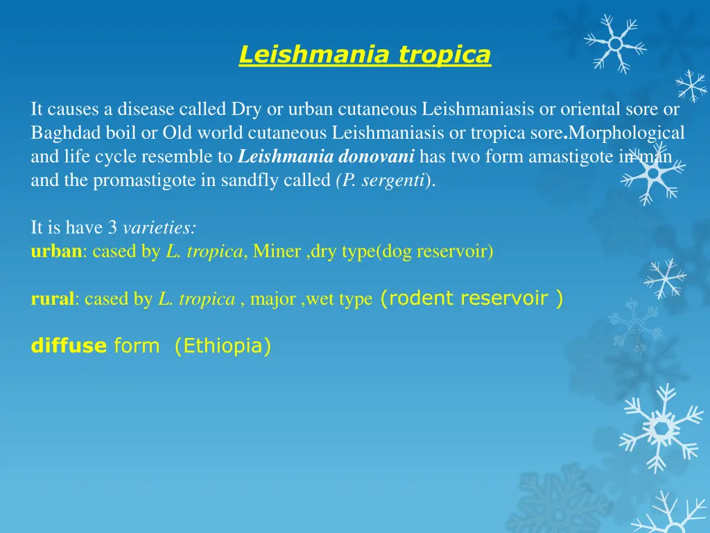 leishmania tropica