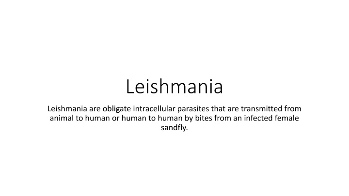 leishmania