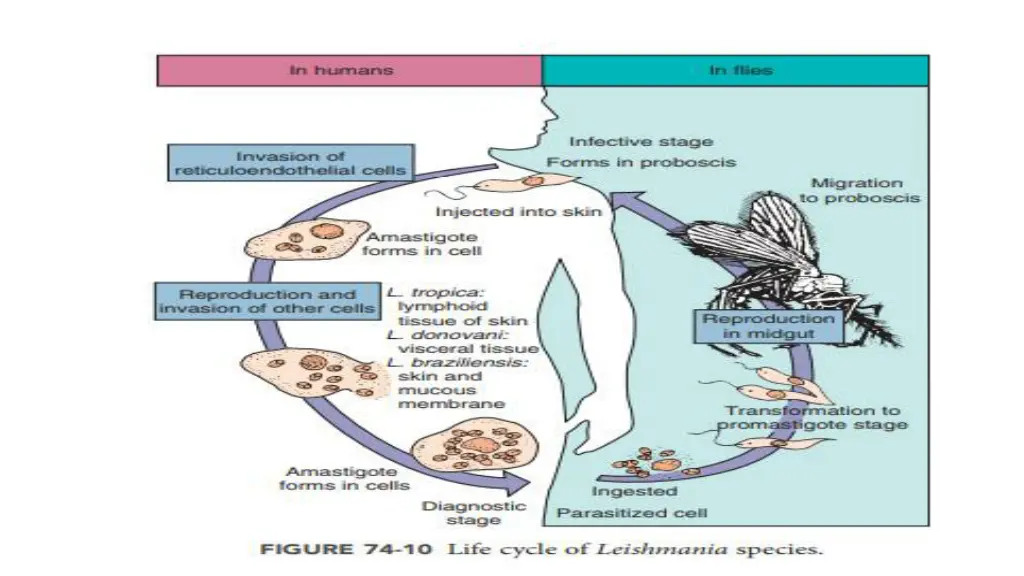 slide3