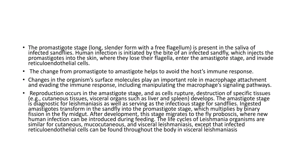 the promastigote stage long slender form with