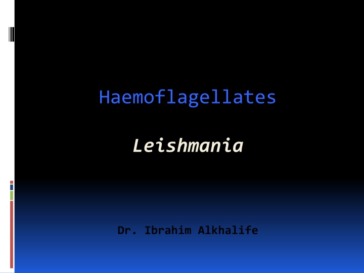 haemoflagellates