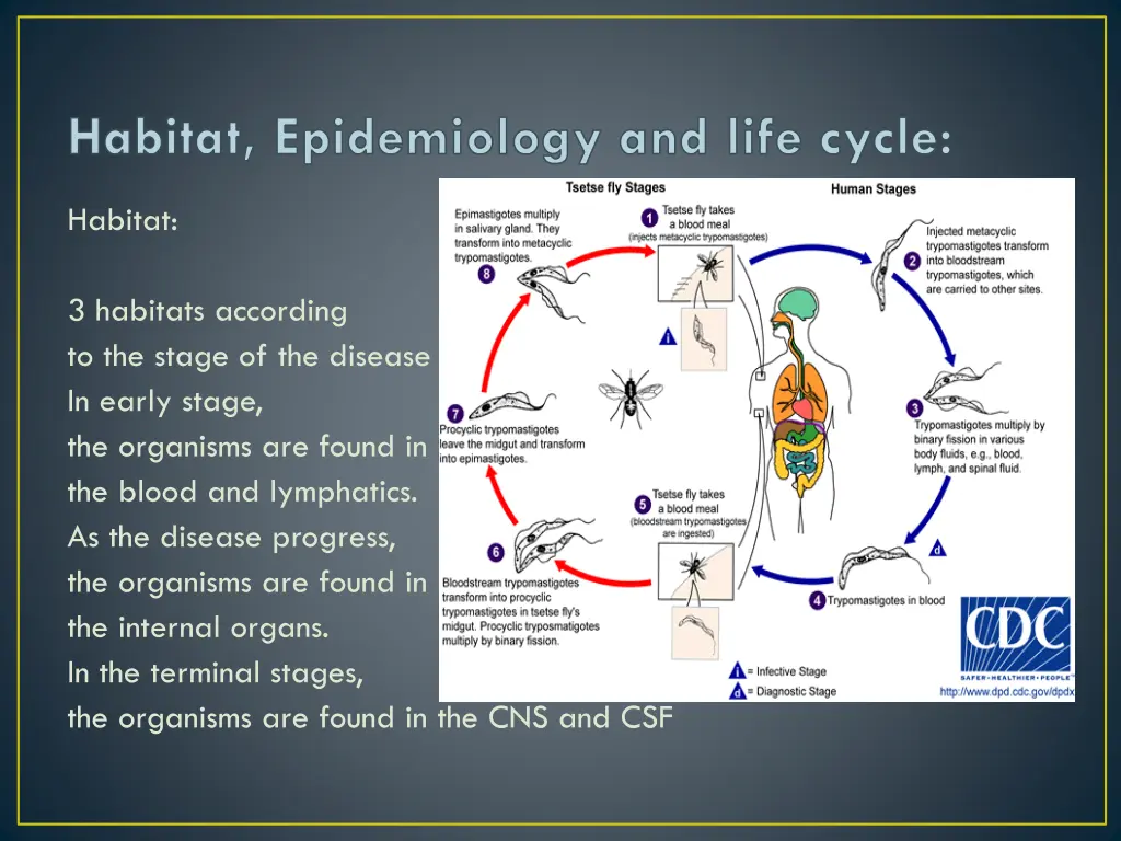 habitat epidemiology and life cycle 1