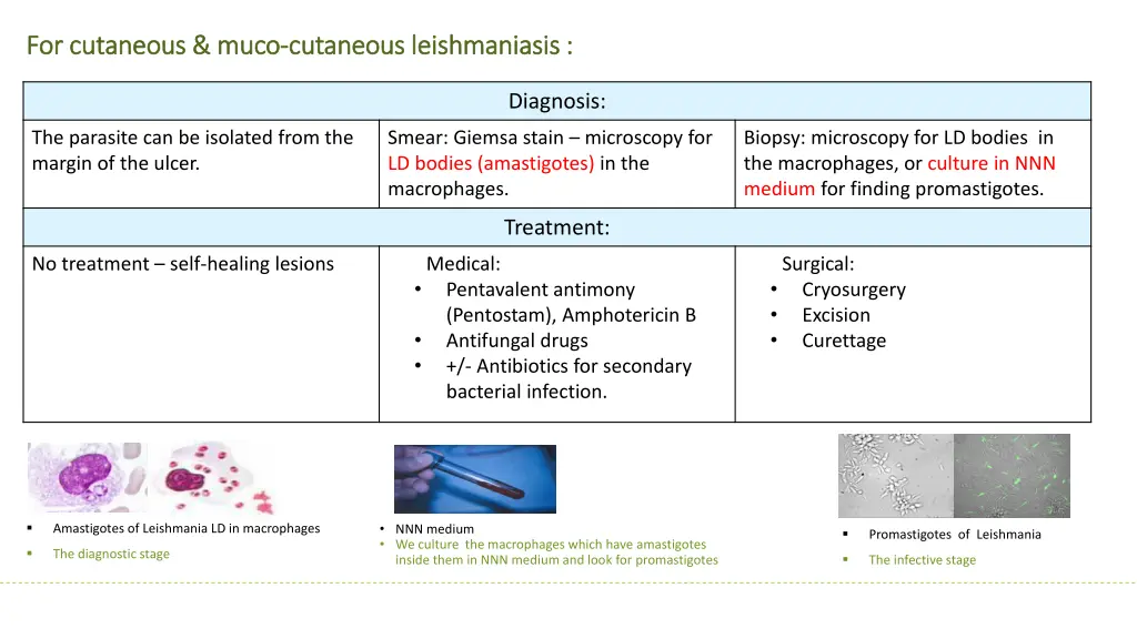 for cutaneous muco for cutaneous muco cutaneous