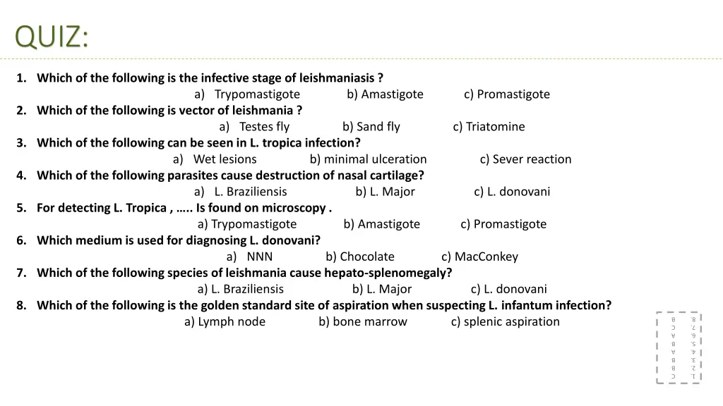 slide11