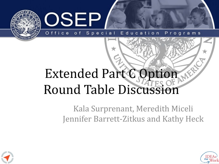 extended part c option round table discussion