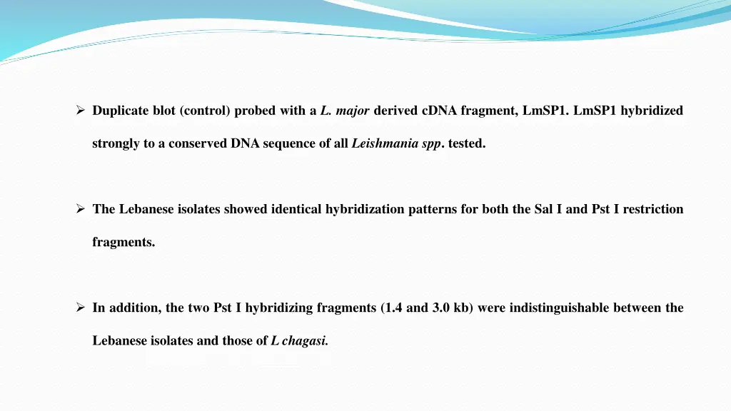 duplicate blot control probed with a l major