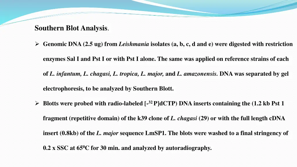 southern blot analysis