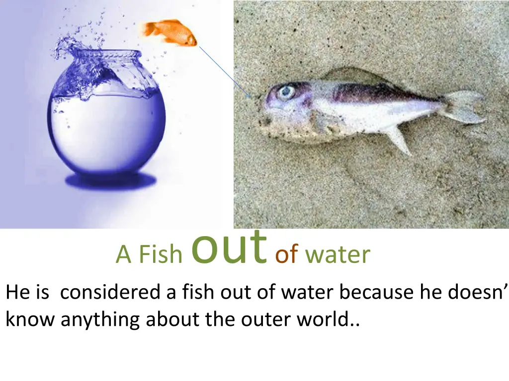 a fish out of water he is considered a fish