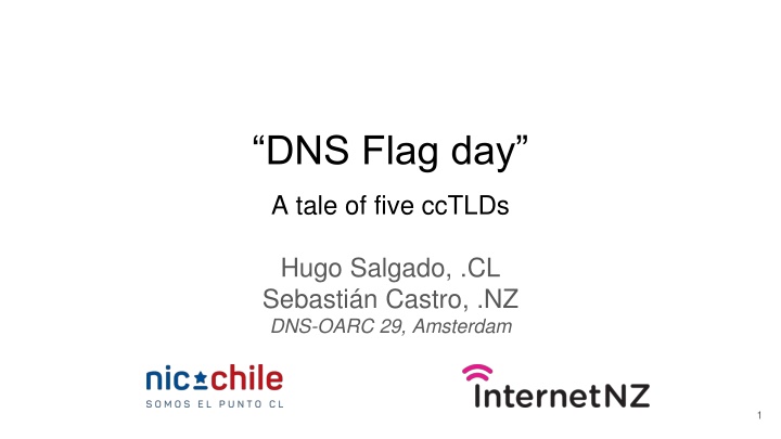 dns flag day