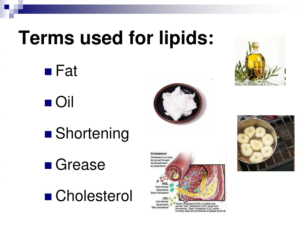 terms used for lipids