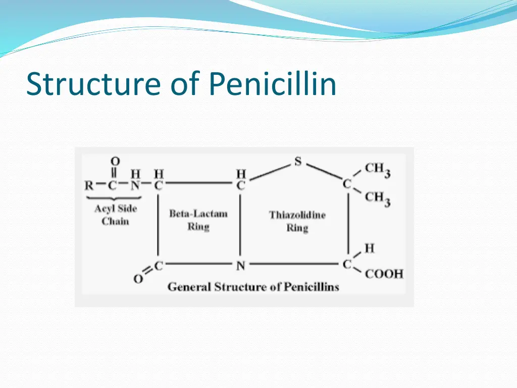 structure of penicillin