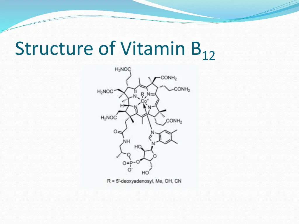 structure of vitamin b 12