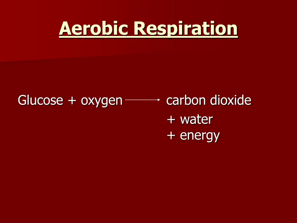 aerobic respiration 1