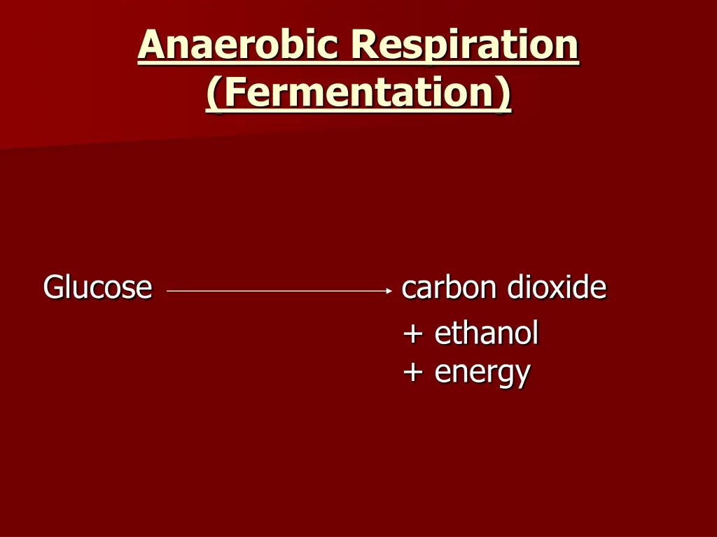 anaerobic respiration fermentation