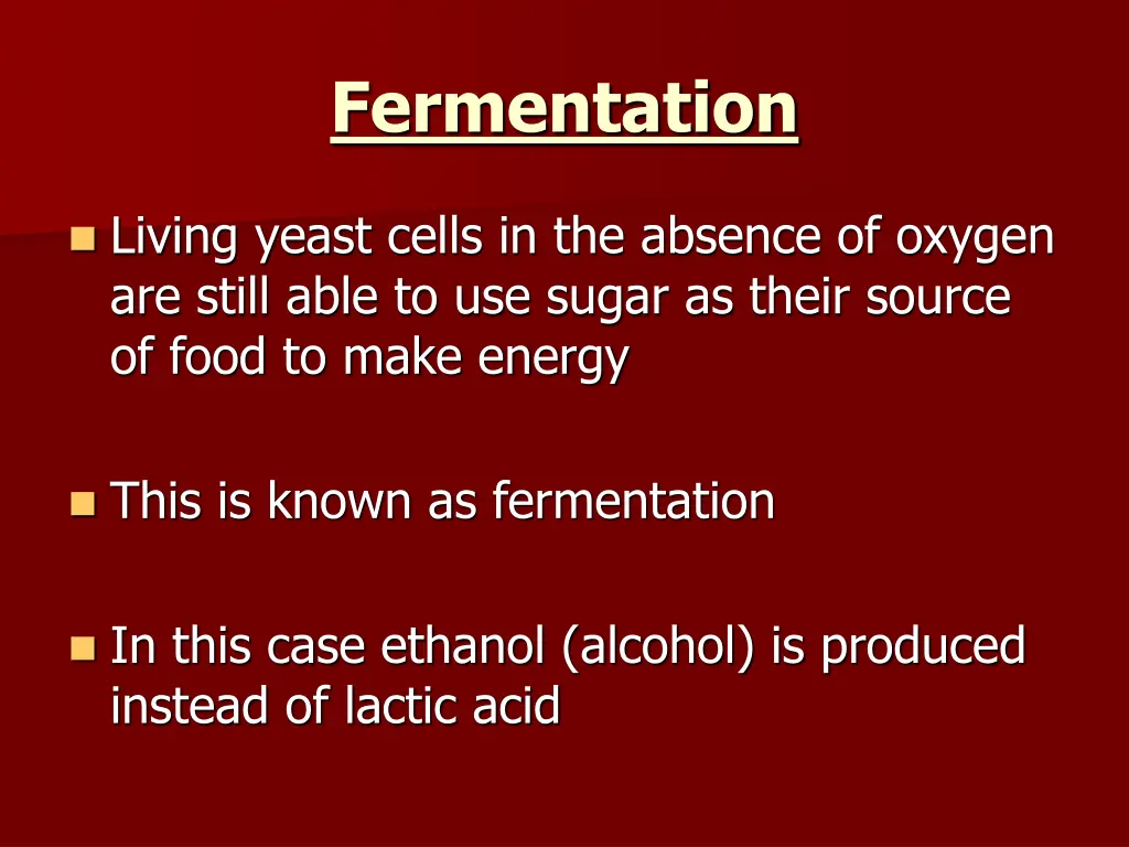 fermentation