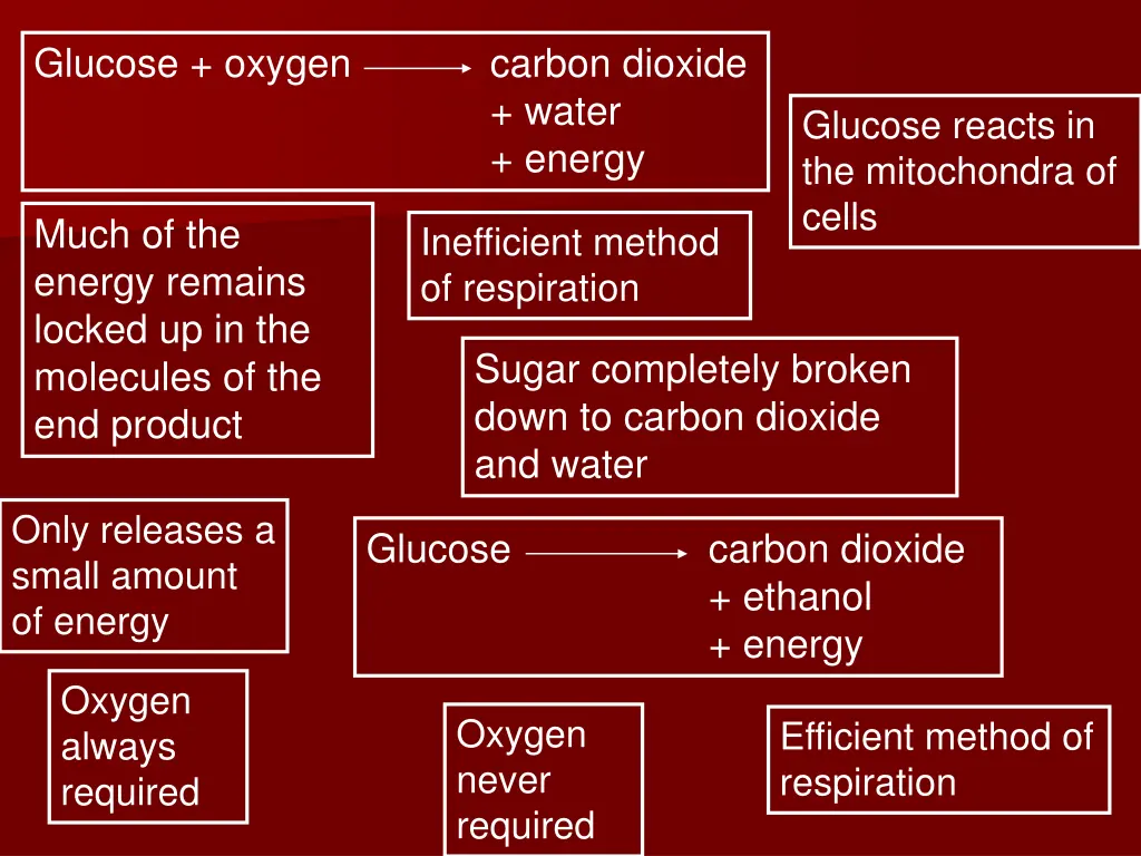 glucose oxygen