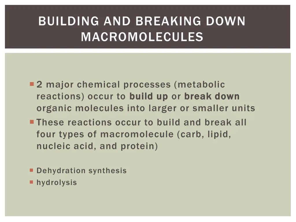 building and breaking down macromolecules