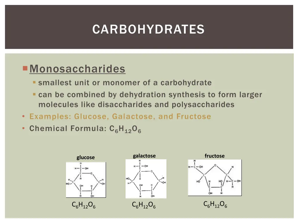 carbohydrates 1