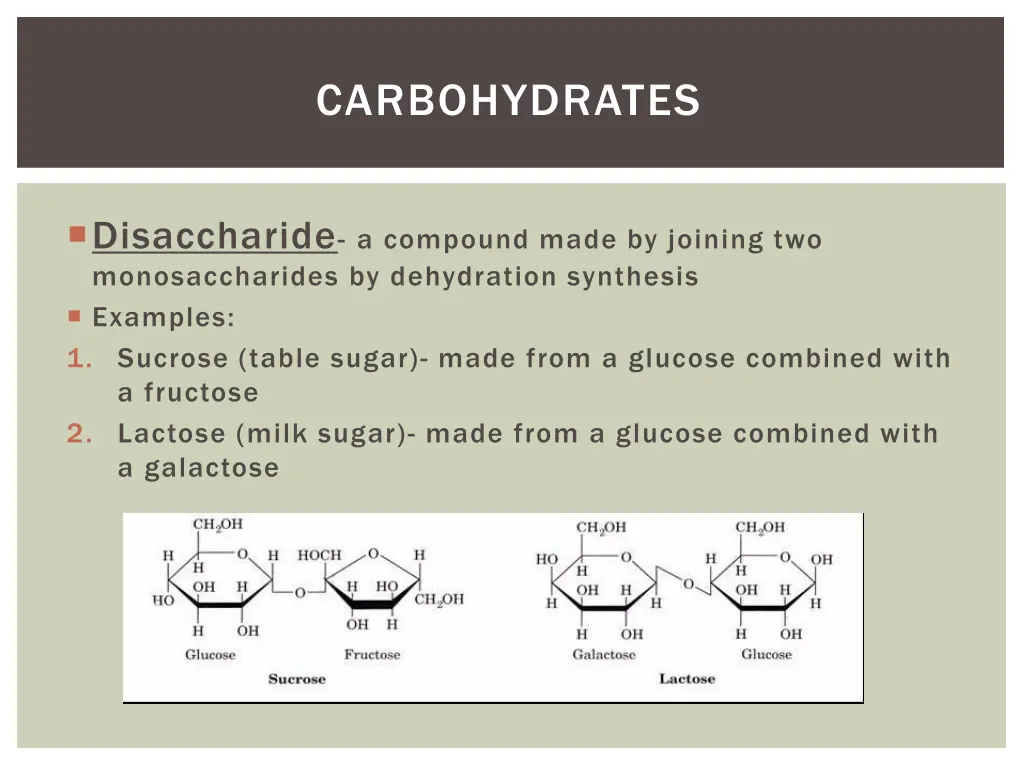 carbohydrates 3