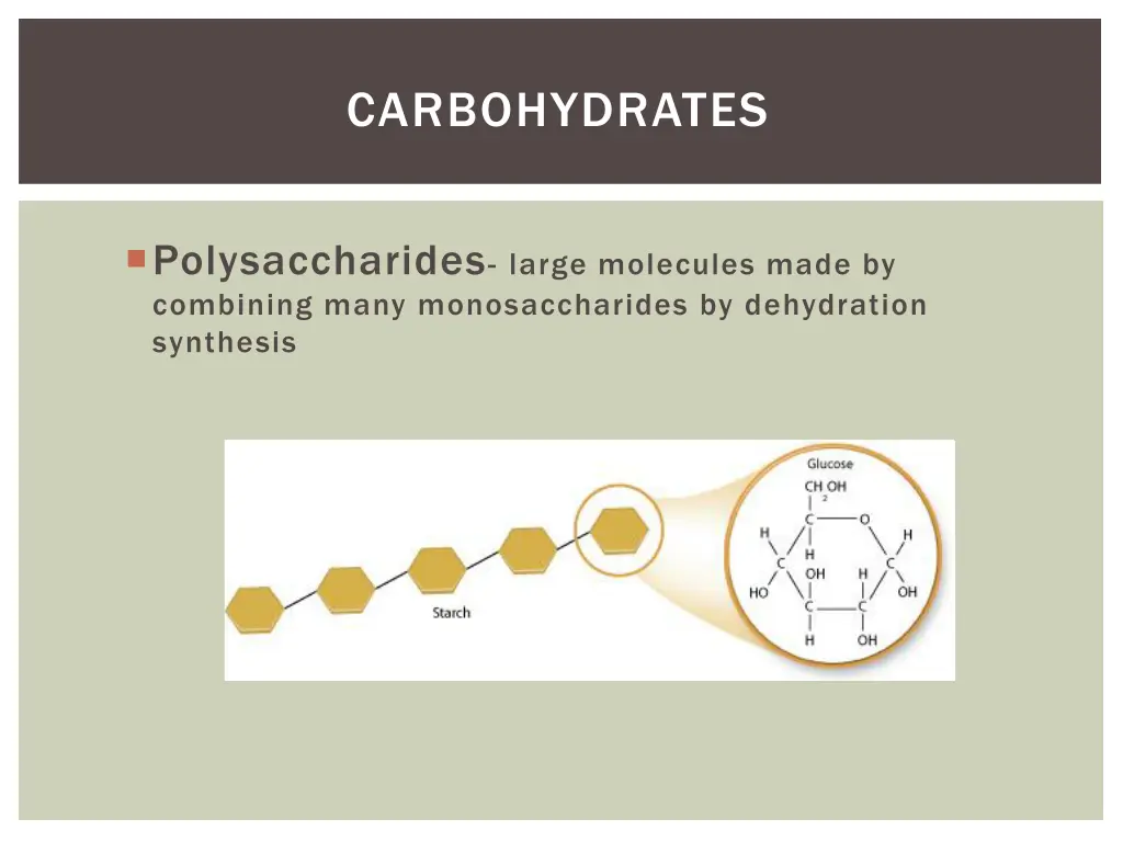 carbohydrates 4