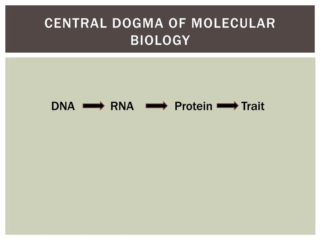 central dogma of molecular biology