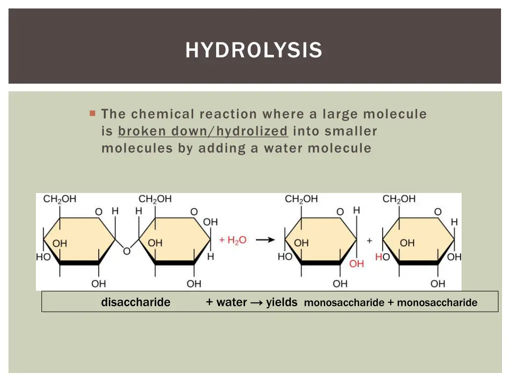 hydrolysis