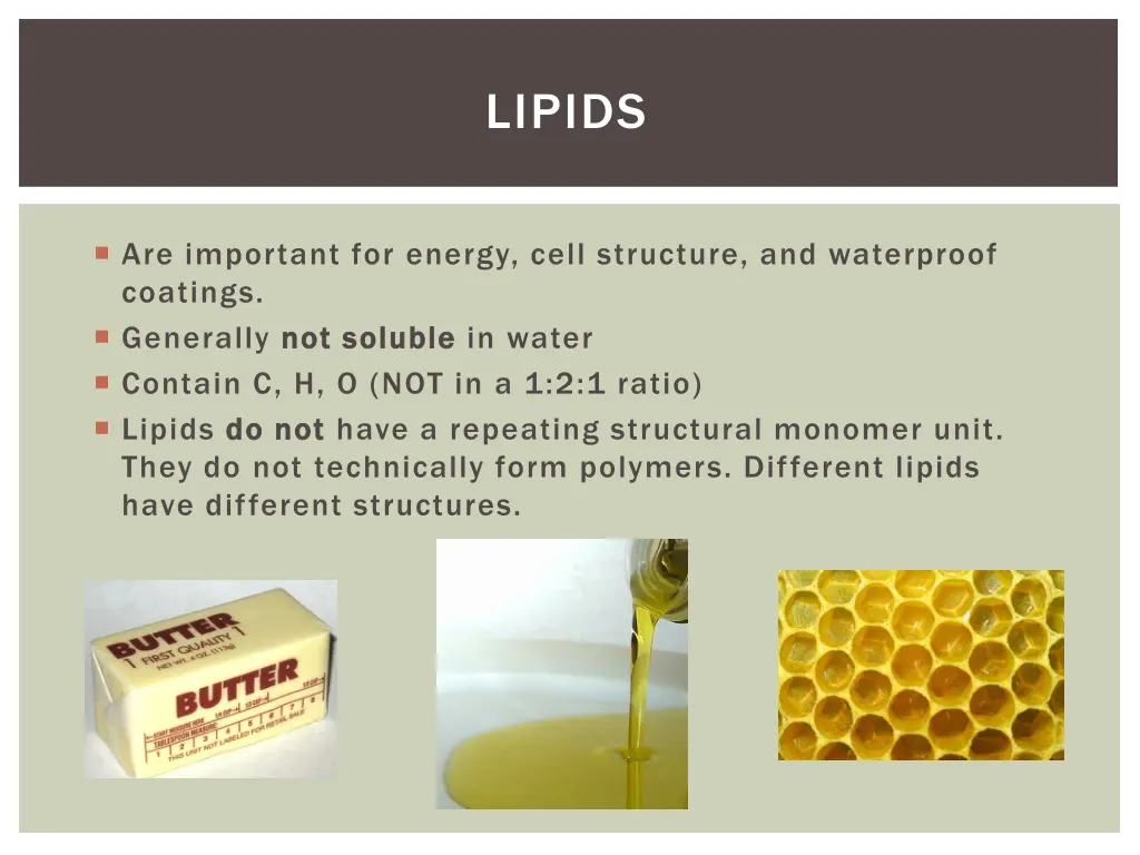 lipids