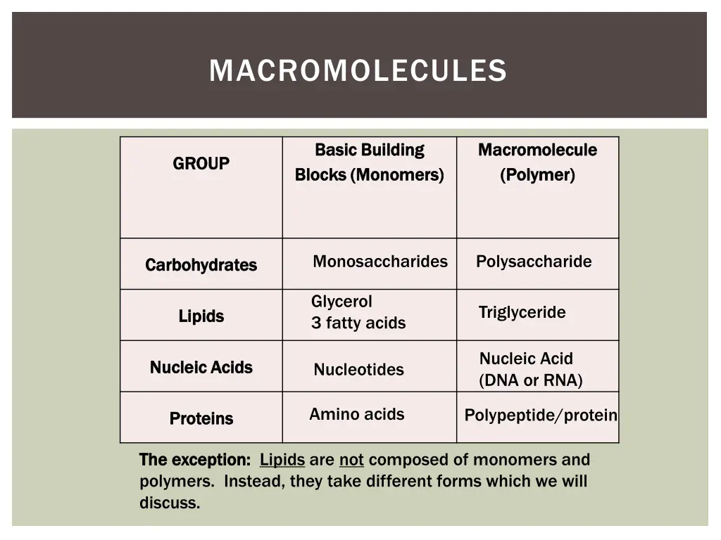 macromolecules 1