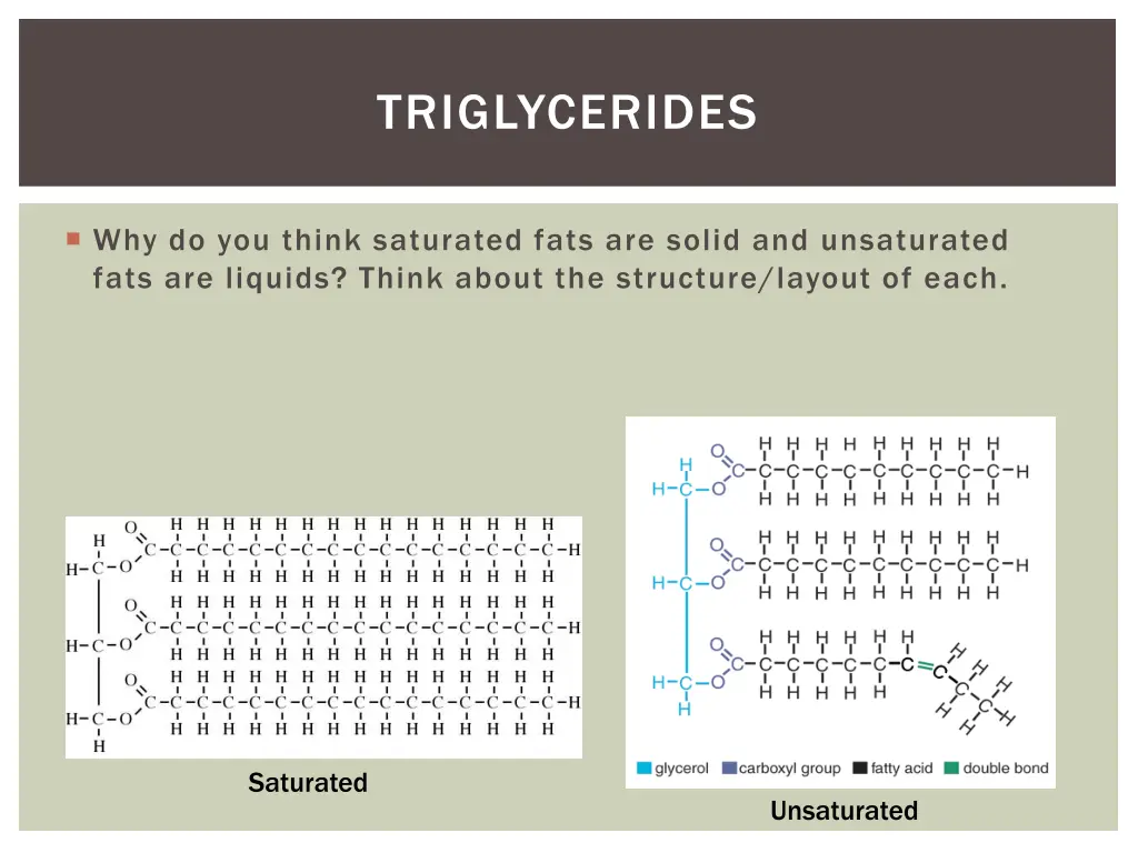 triglycerides 1