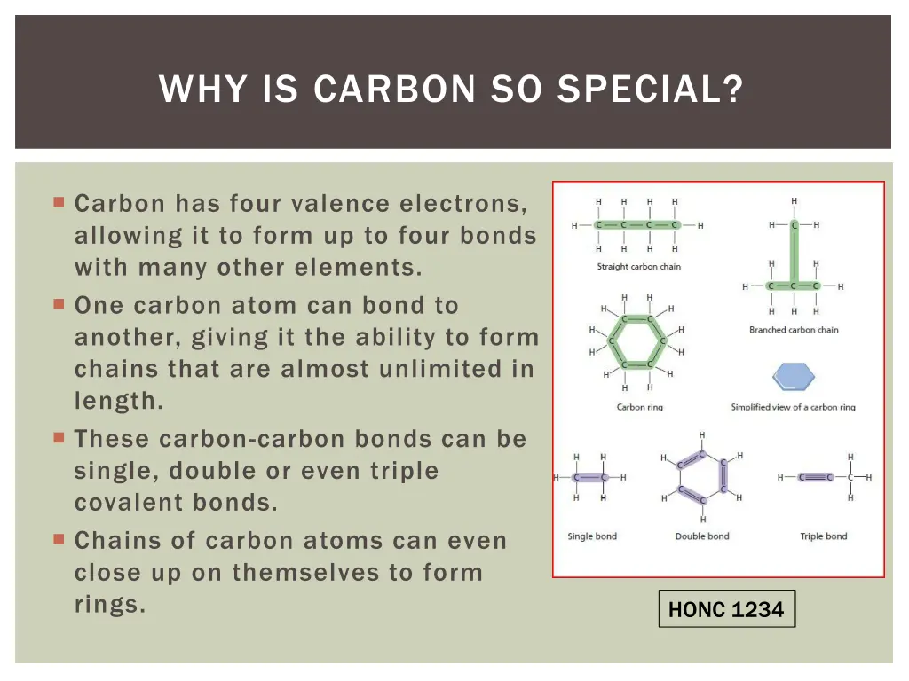 why is carbon so special