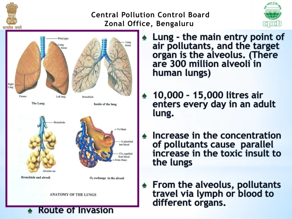 central pollution control board zonal office 11