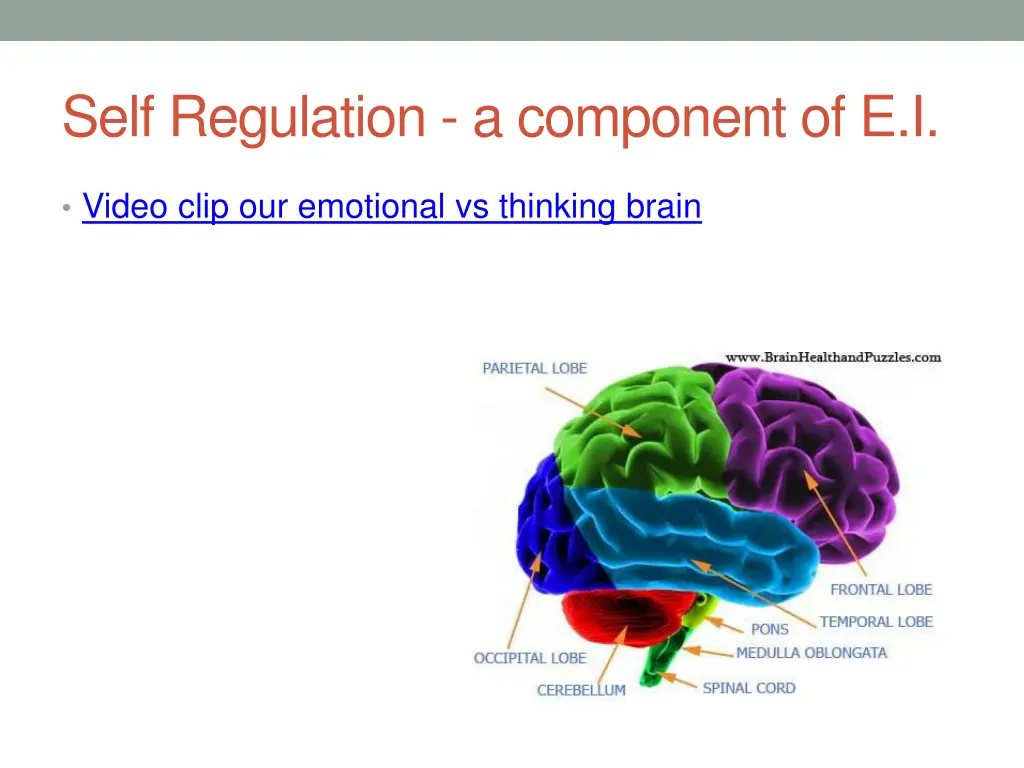 self regulation a component of e i