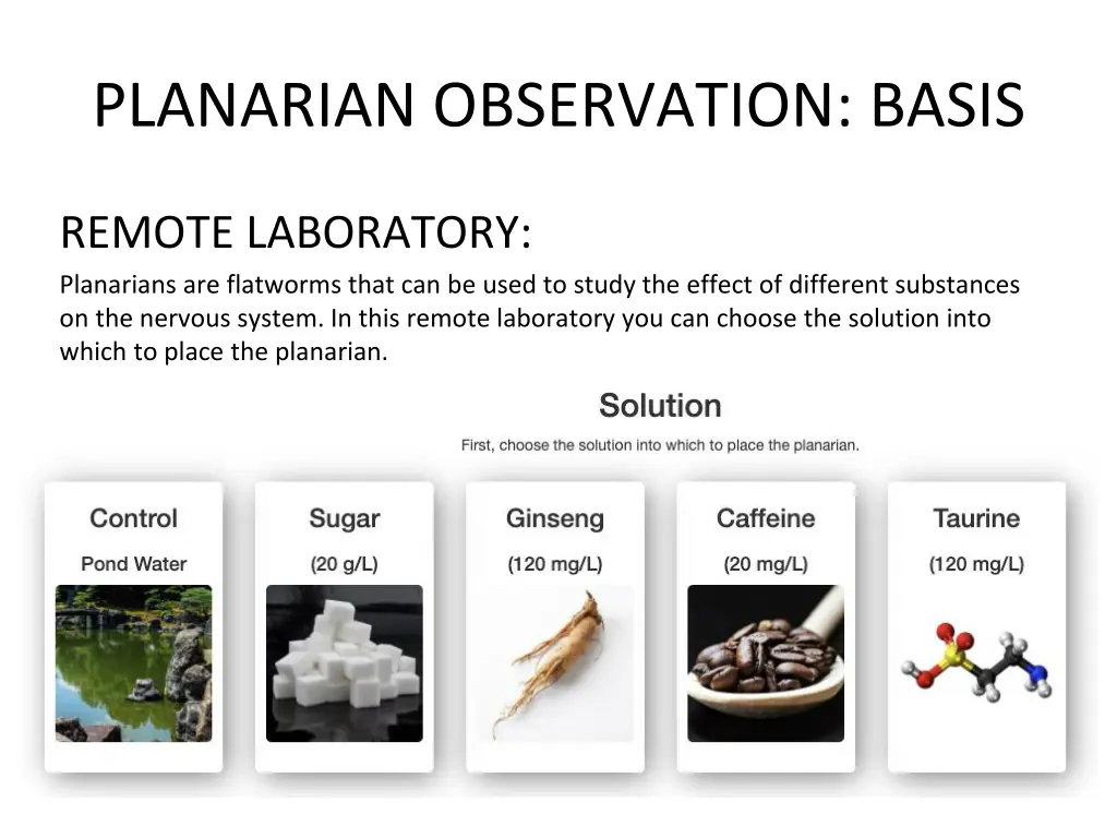 planarian observation basis 1