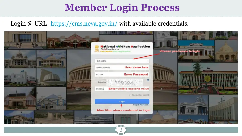 member login process