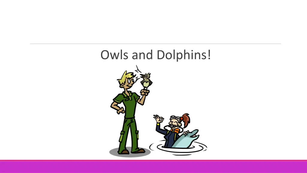 owls and dolphins