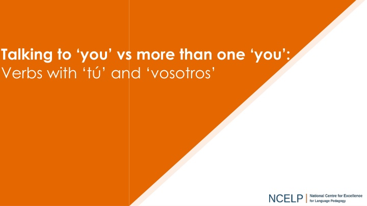 talking to you vs more than one you verbs with