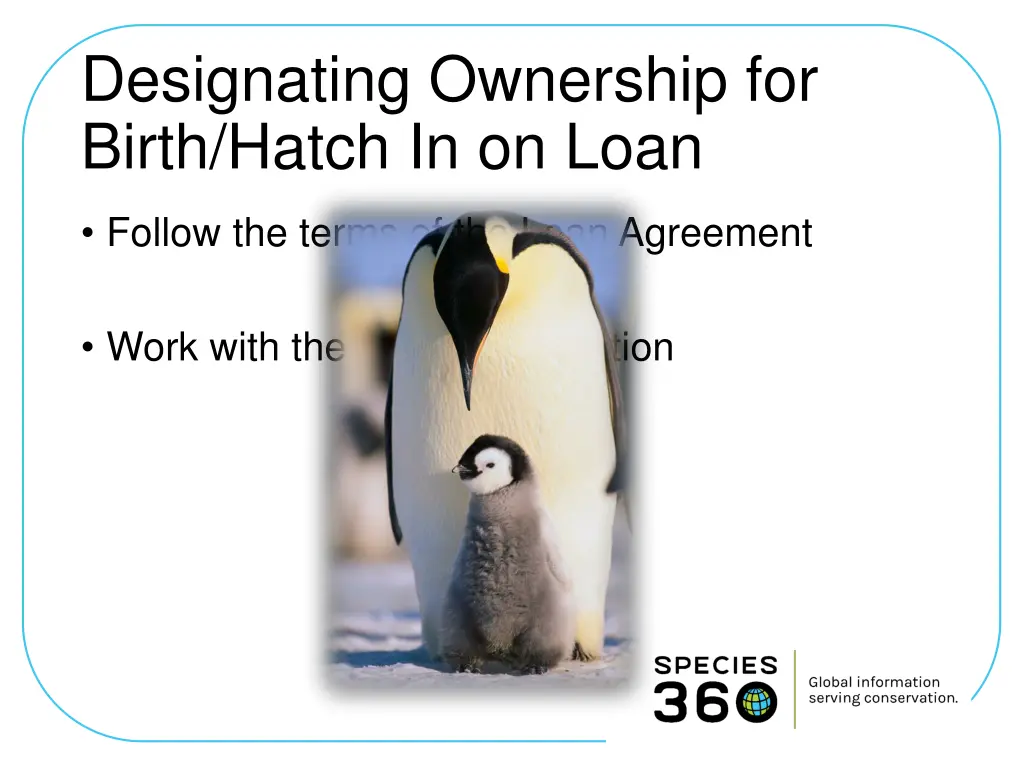 designating ownership for birth hatch in on loan