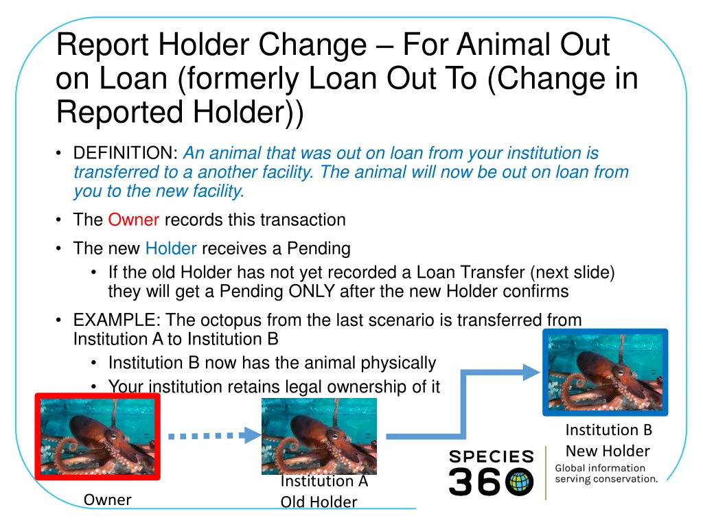 report holder change for animal out on loan